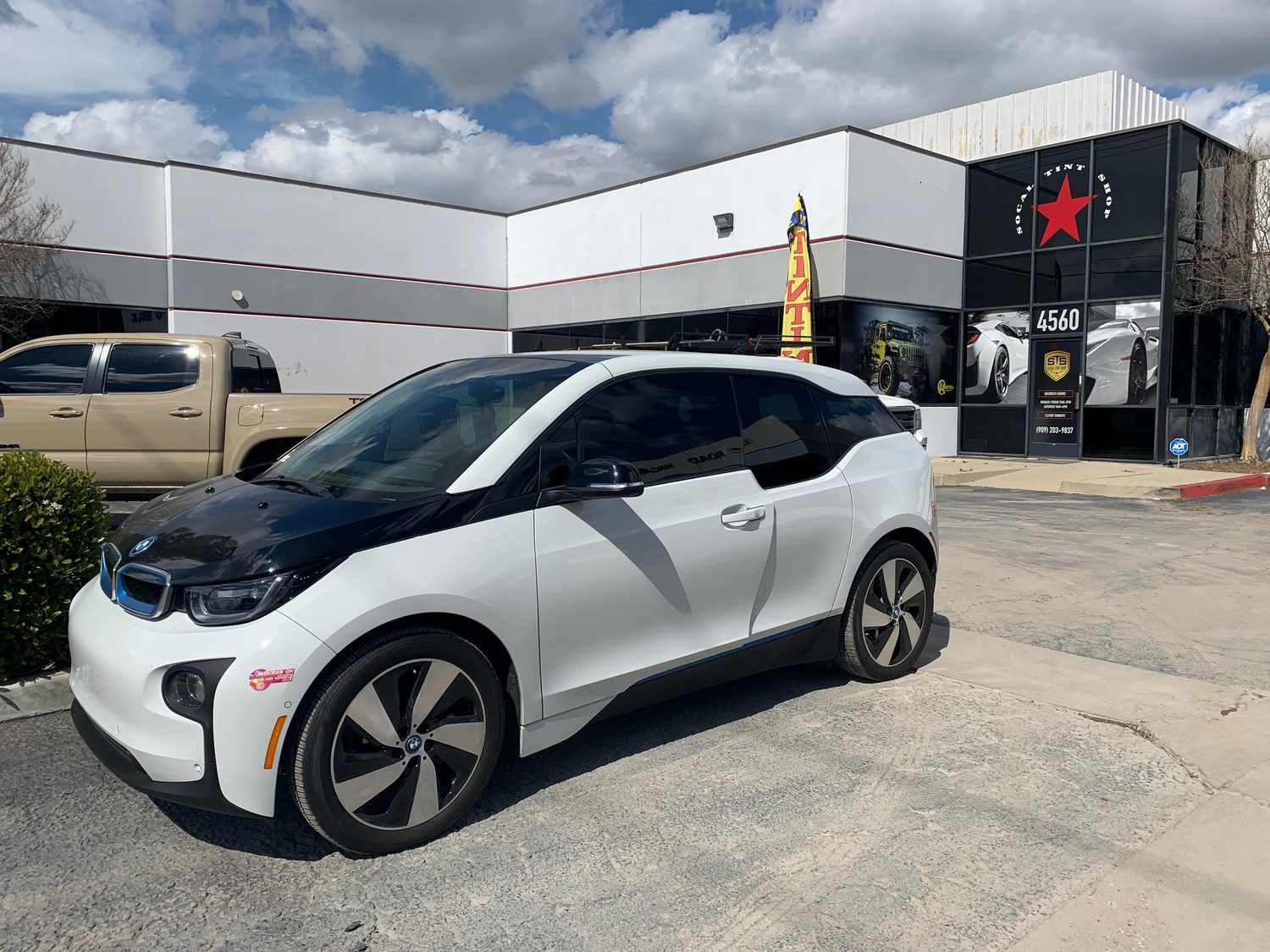 BMW XPEL Tint